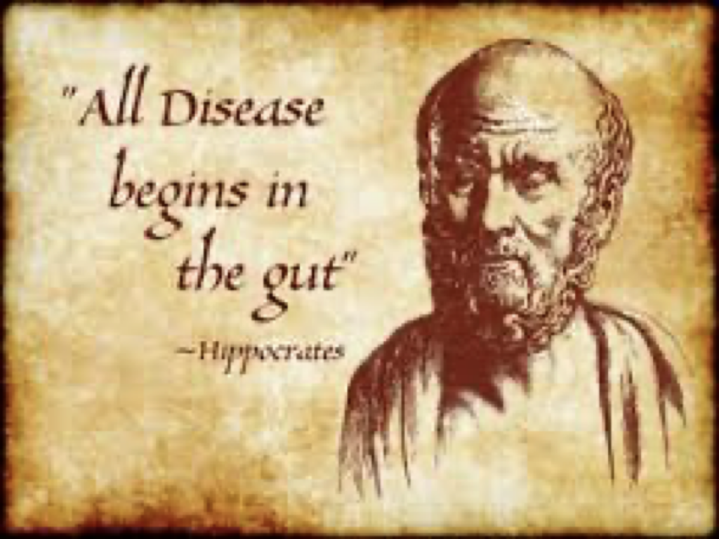 Gut health Hippocrates